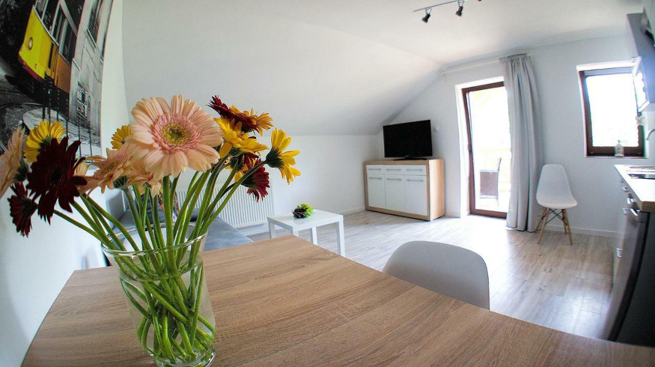 Apartamenty Karkonoskie Karpacz Extérieur photo